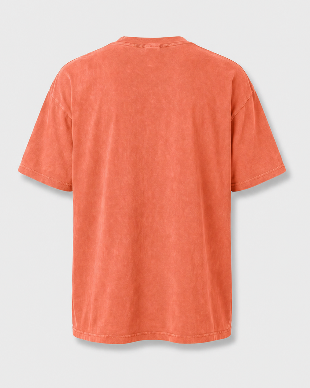 Blue Collar washed tee — back