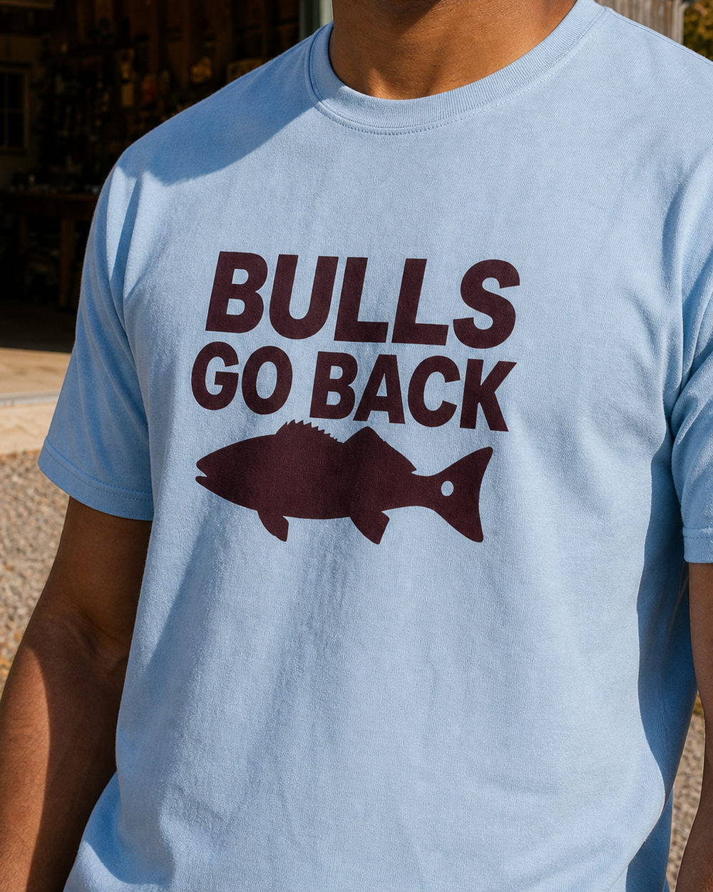 Bulls Go Back Bold tee — light blue, worn, back