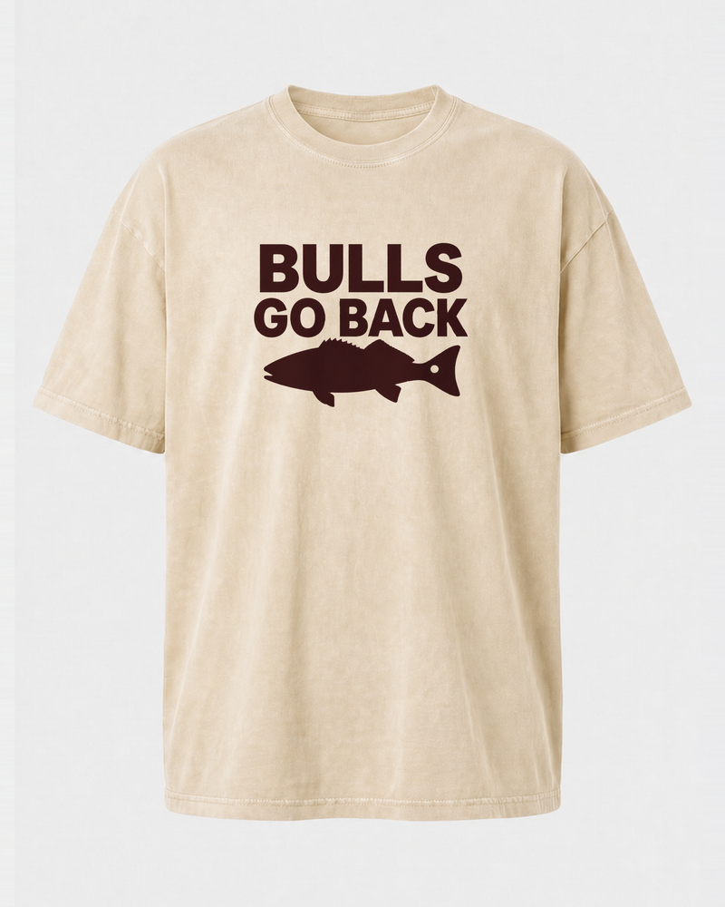 Bulls Go Back Bold washed tee — washed bone, back