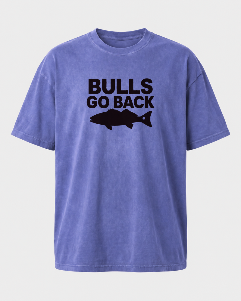 Bulls Go Back Bold washed tee — washed blue, back
