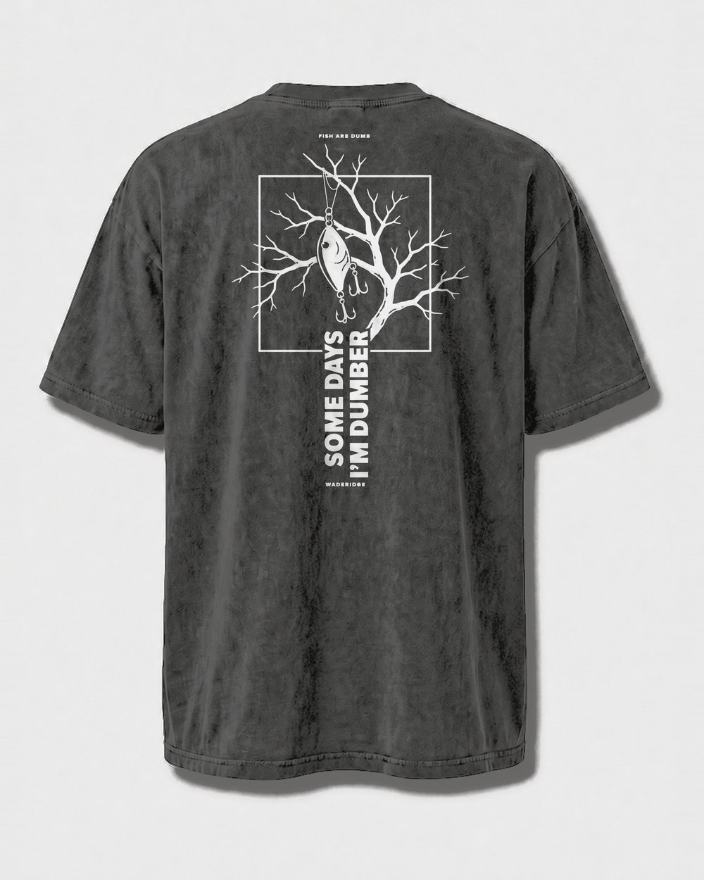 Fish Are Dumb Some Days I'm Dumber — Branch Frame washed tee — washed black, front