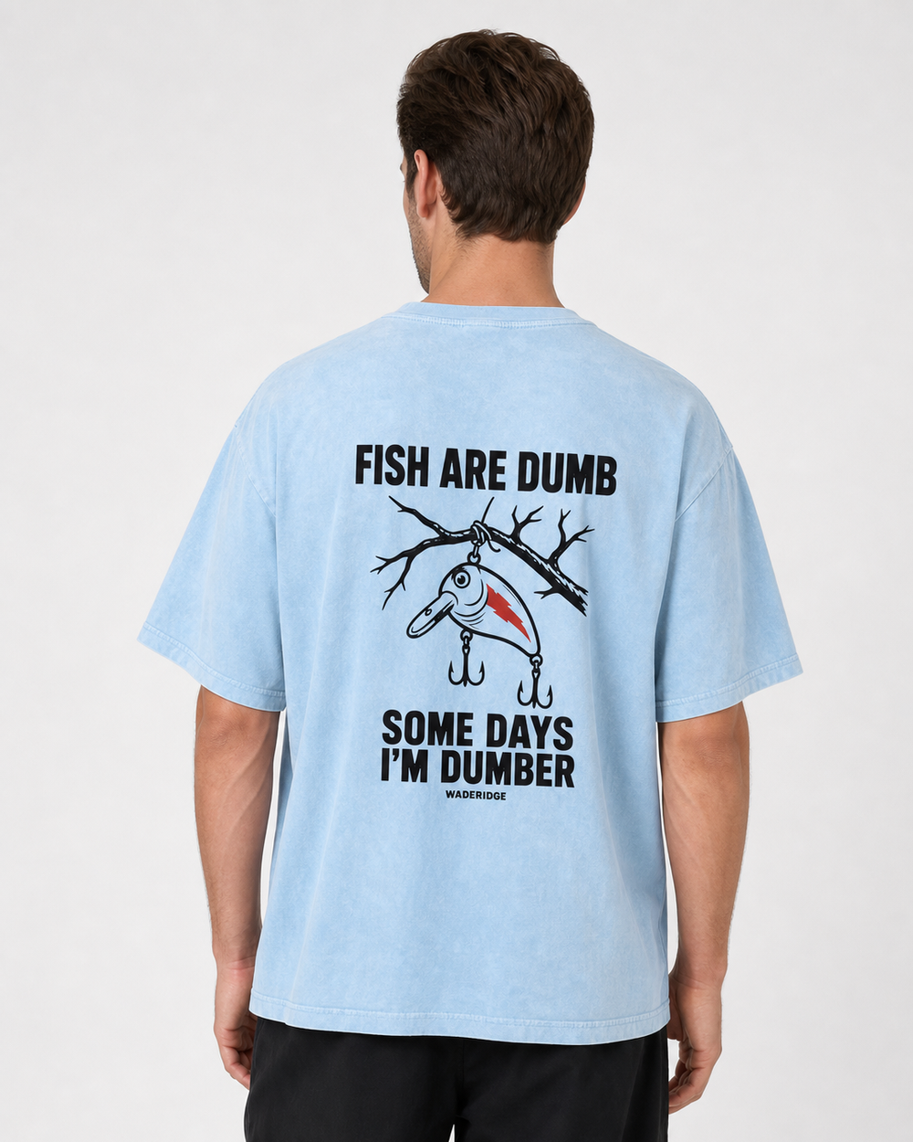 Fish Are Dumb Some Days I'm Dumber — Brushed Snag washed tee — washed light blue, worn, front
