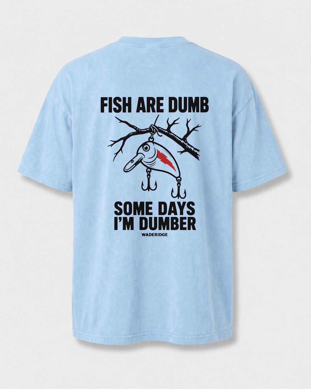 Fish Are Dumb Some Days I'm Dumber — Brushed Snag washed tee — washed light blue, front