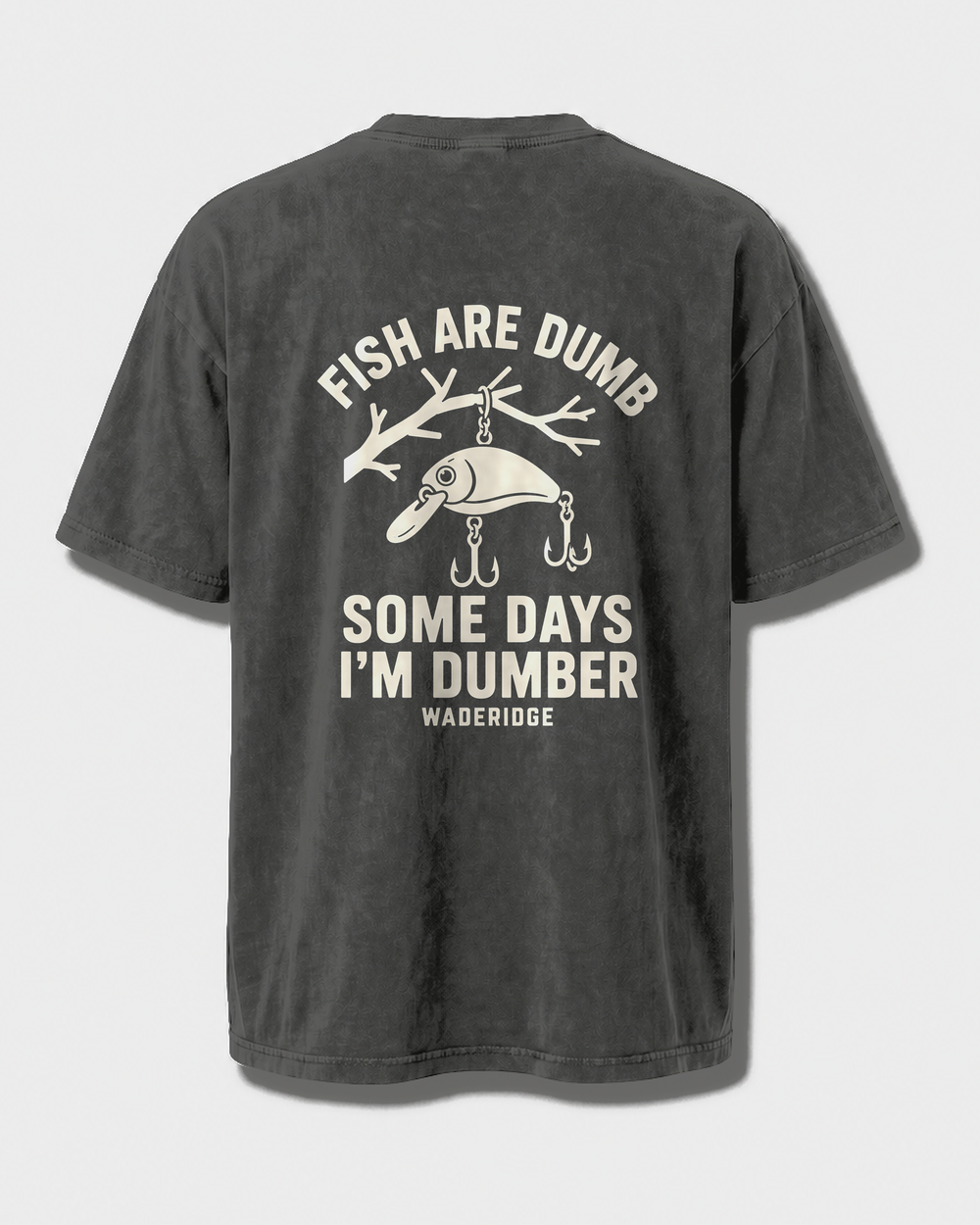 Fish Are Dumb Some Days I'm Dumber — Arched Type washed tee — washed black, front