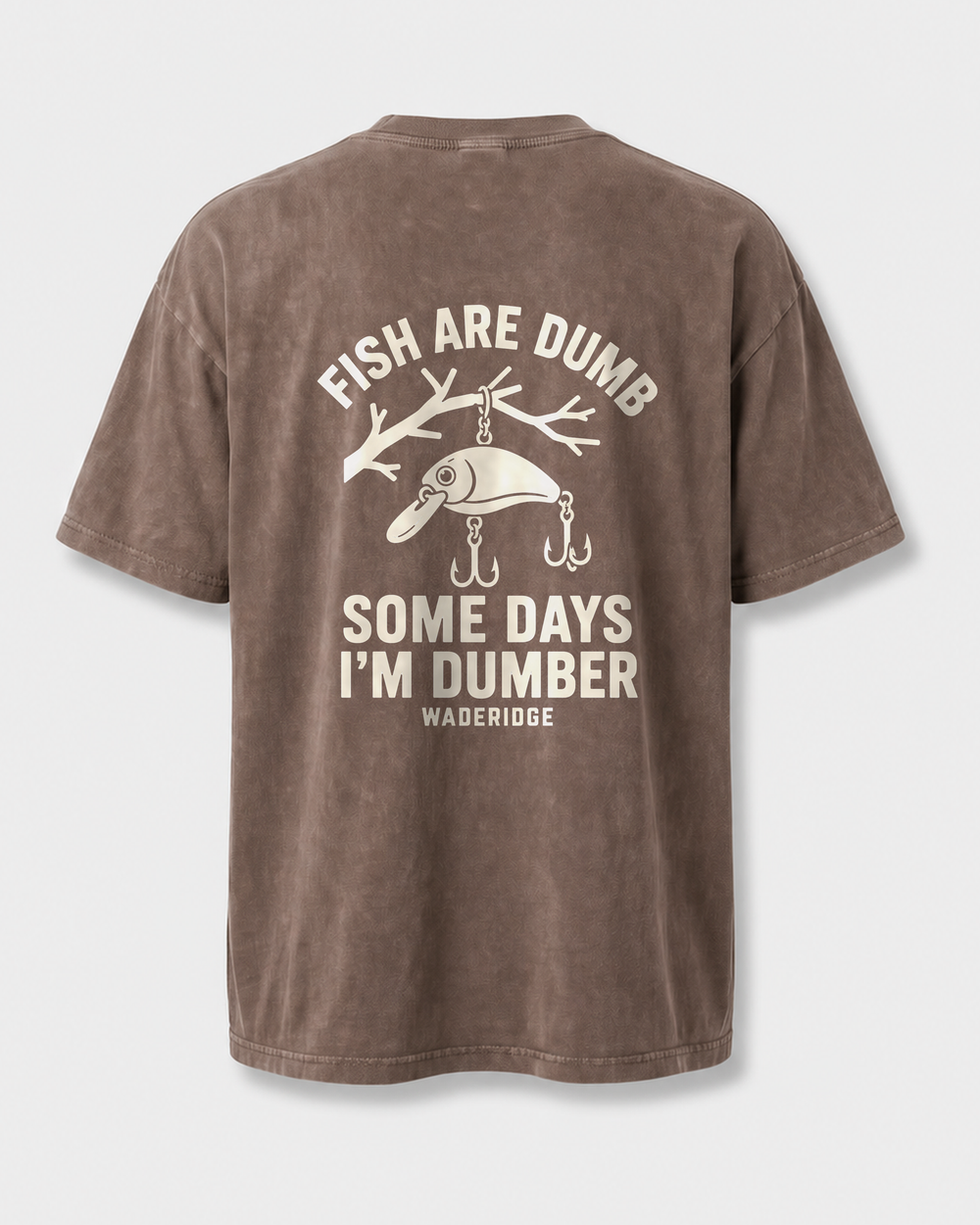 Fish Are Dumb Some Days I'm Dumber — Arched Type washed tee — washed coffee, front