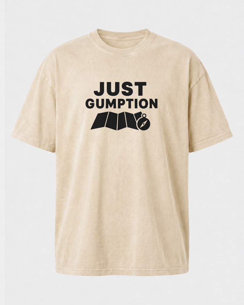 Just Gumption Bold washed tee — washed bone, front