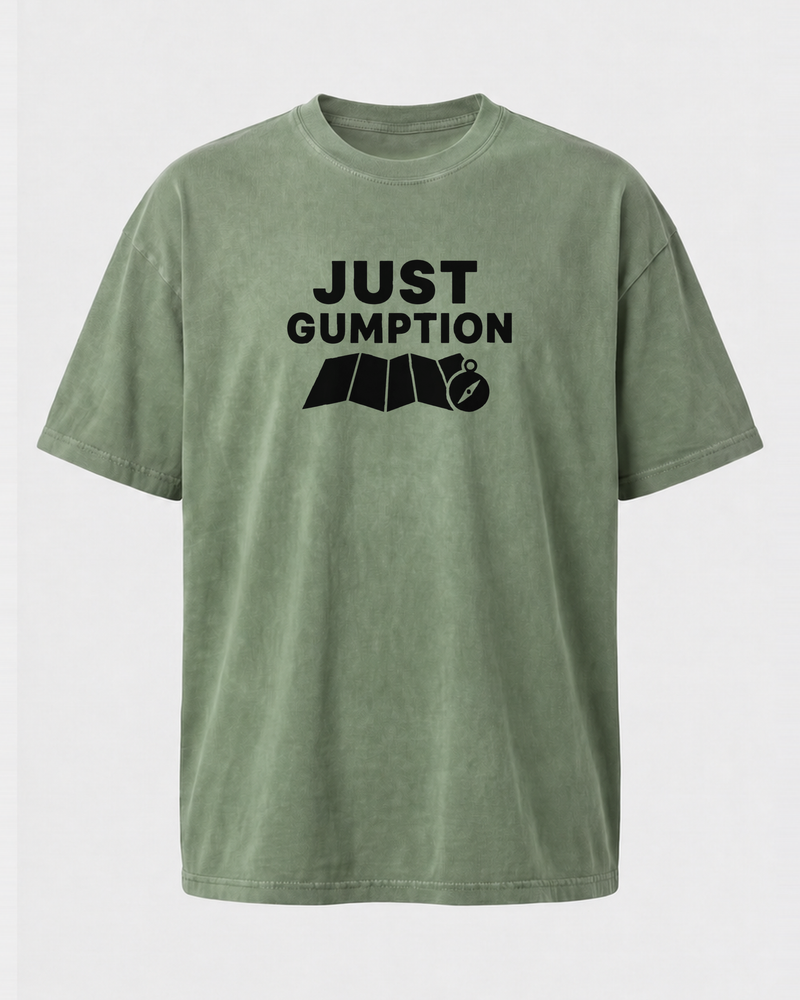 Just Gumption Bold washed tee — washed sage, front