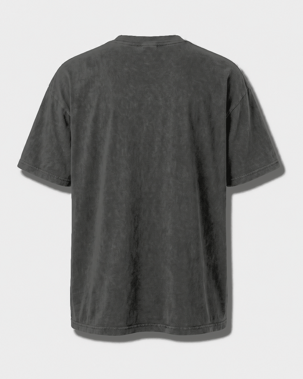 Six Screens One Fish Two Tone washed tee — washed black, back
