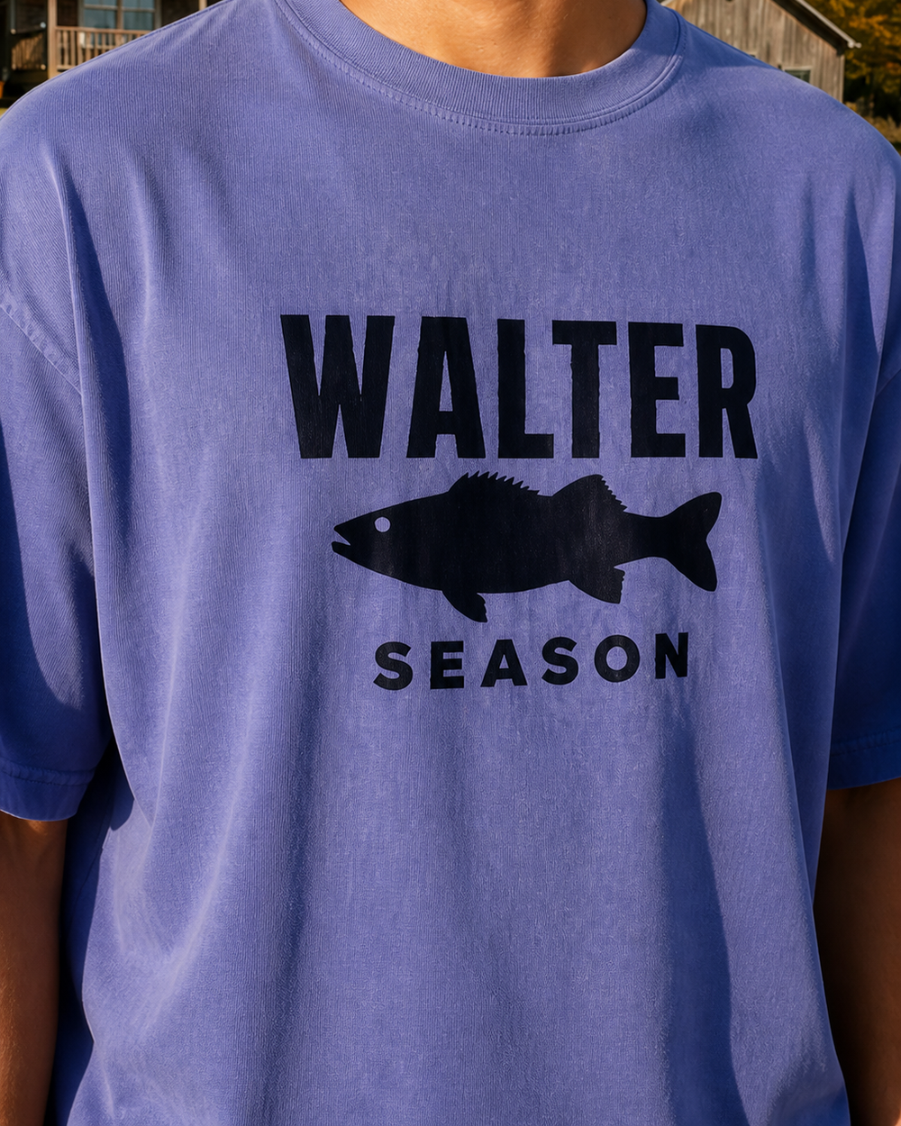 Walter Season Bold washed tee — washed blue, worn, side